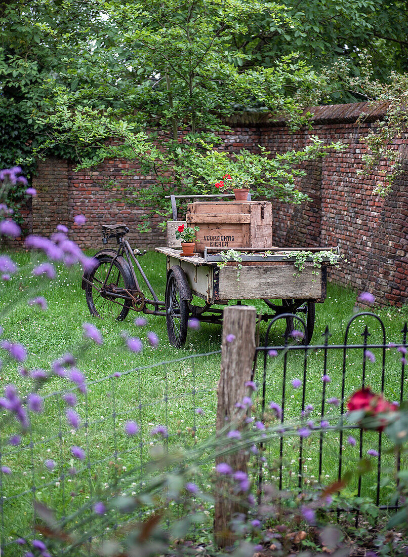 Summer flower garden with old transport bike and wooden crates