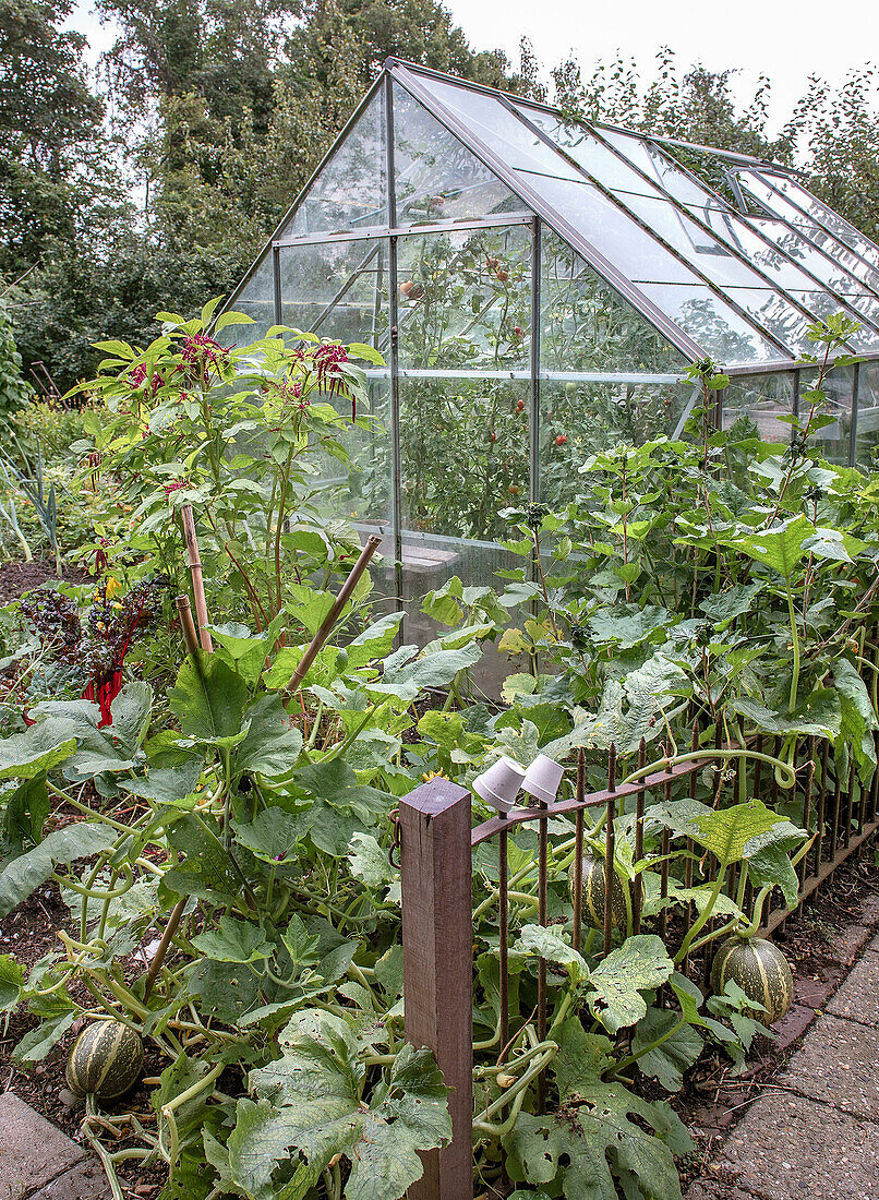 Greenhouse with vegetable garden