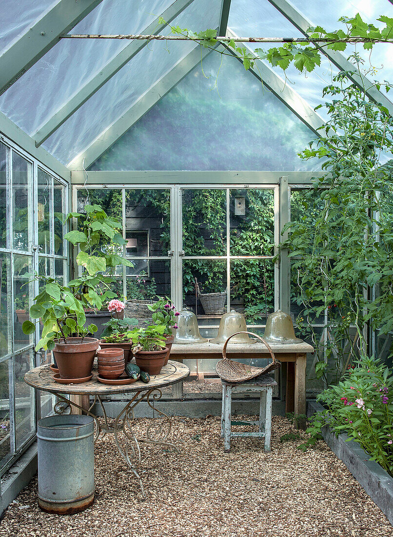 Gewächshaus mit Topfpflanzen, Gartentisch und Hocker auf Kiesboden