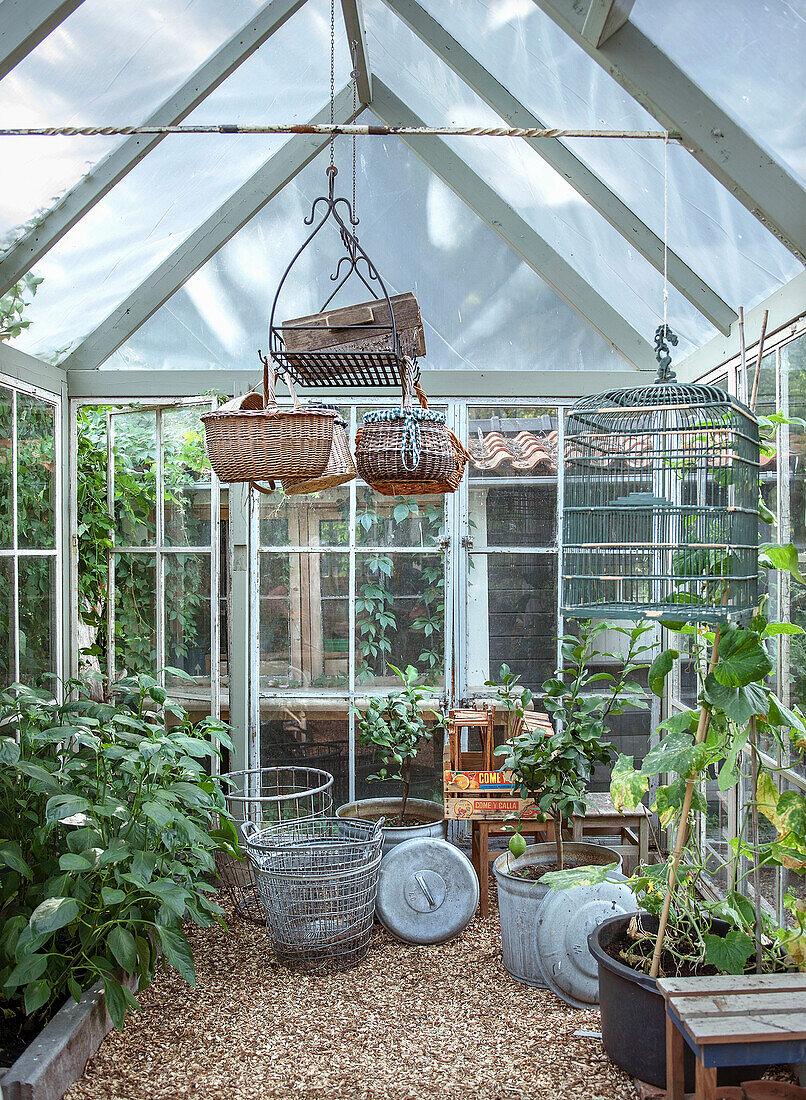 Greenhouse with hanging baskets and plants