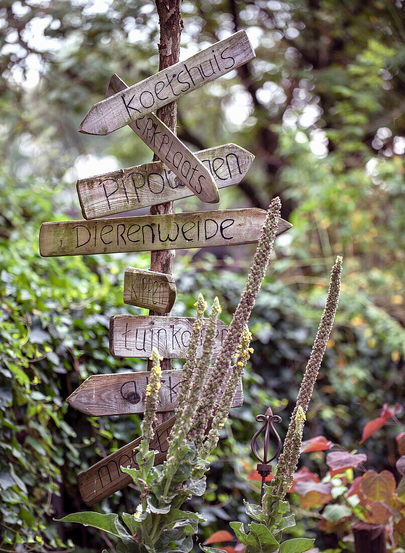 Wooden signpost in the garden with handwritten signs and tall flower stalks