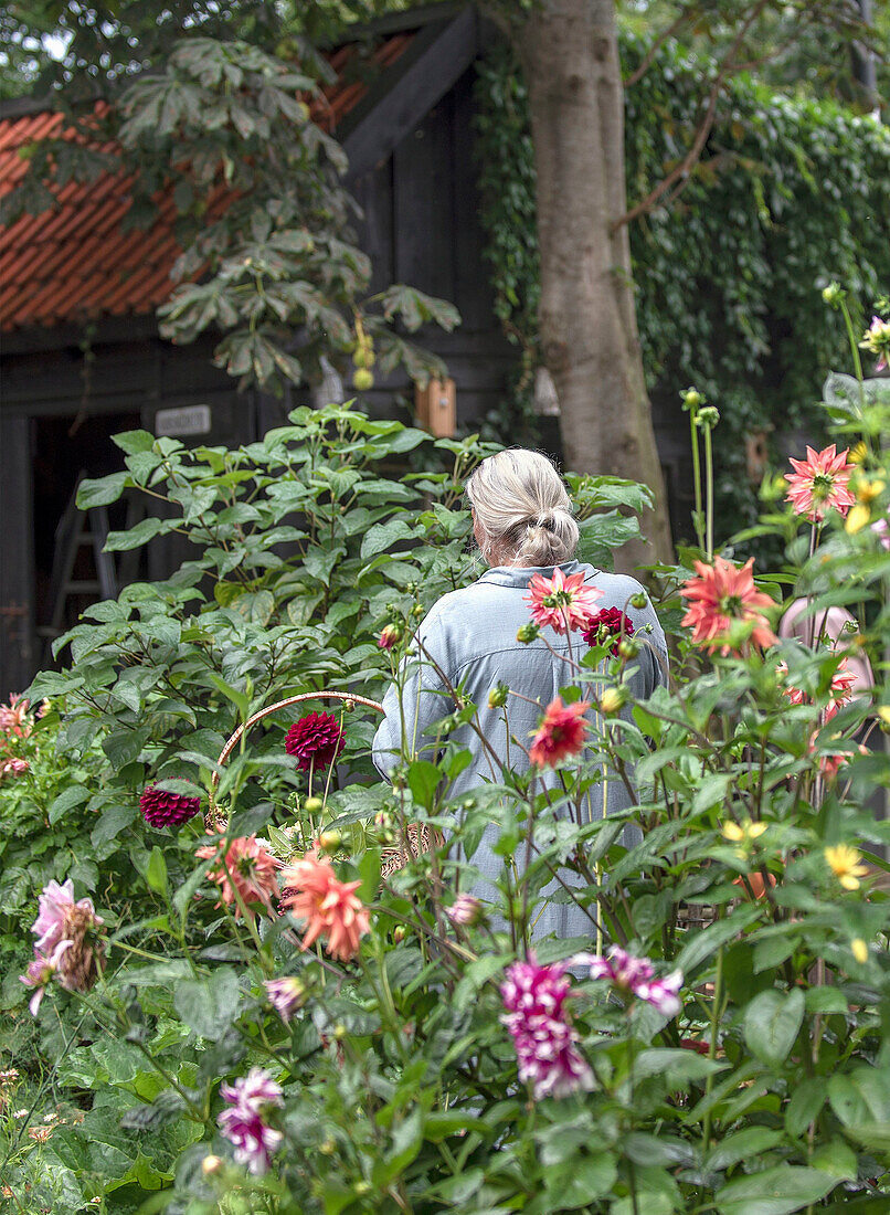 Frau in einem blühenden Sommergarten vor einem Holzhaus