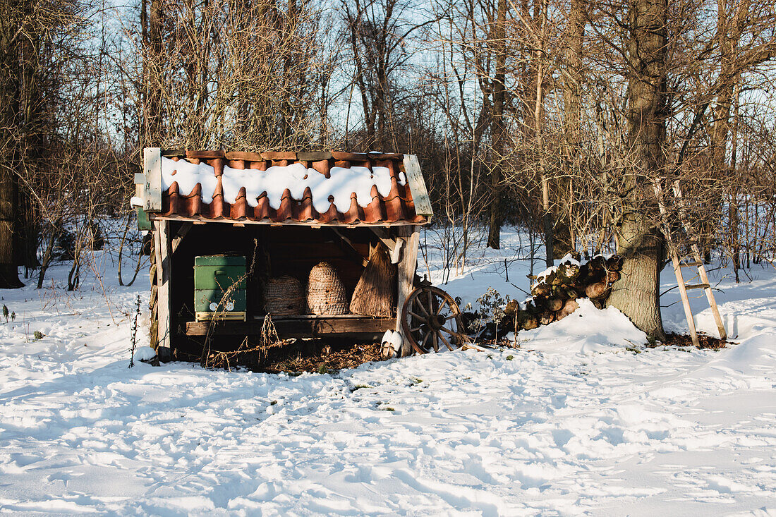 Snow-covered beehive hut in a wintry forest