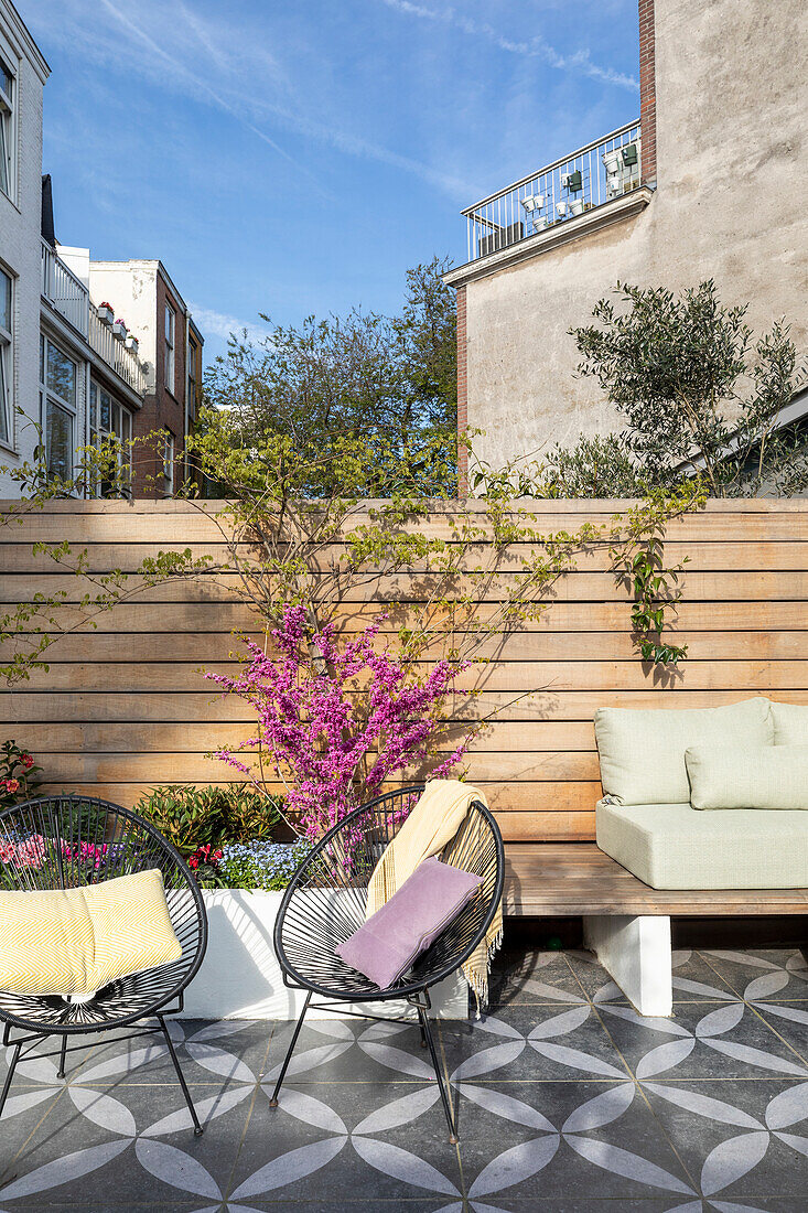 Small urban garden with seating area, patterned tiles and flowering Judas tree (Cercis siliquastrum)