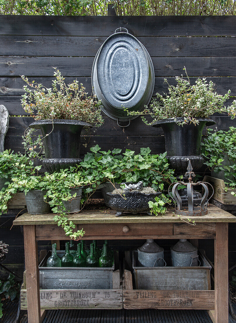 Vintage Gartentisch mit Zinkkisten und Glasflaschen, umgeben von Efeu in schwarzen Pflanztöpfen