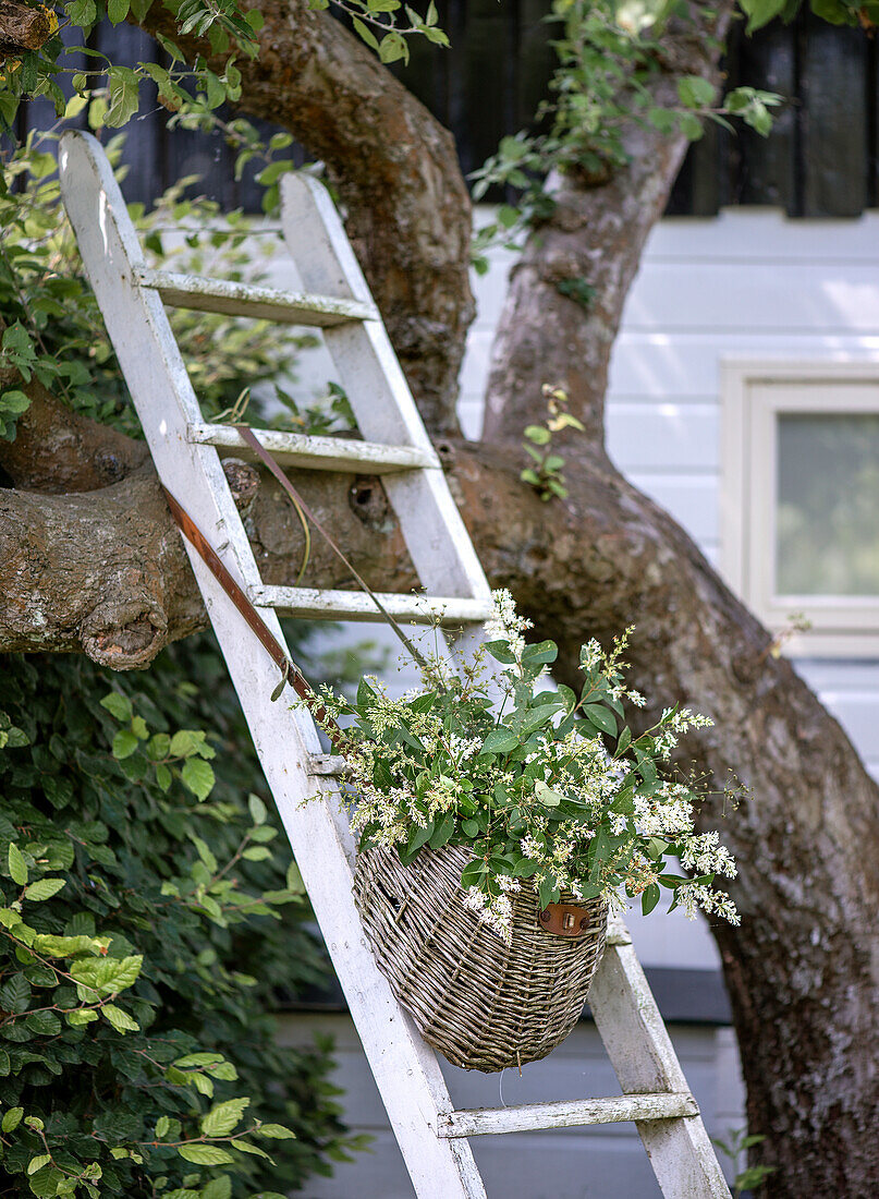 Wicker basket with white flowers on a wooden ladder in the summer garden