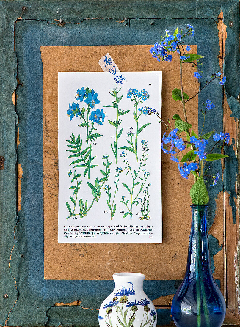 Blumenillustration an rustikaler Wand mit blauen Vergissmeinnicht in Vase