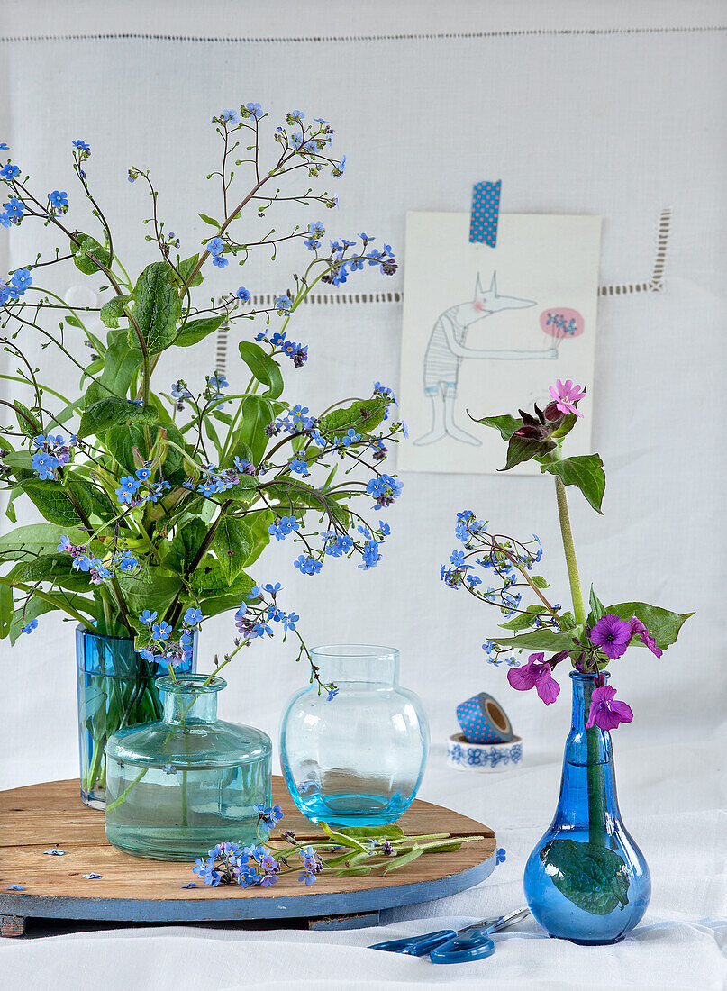 Vergissmeinnicht (Myosotis) in blauen Glasvasen auf Holzplatte