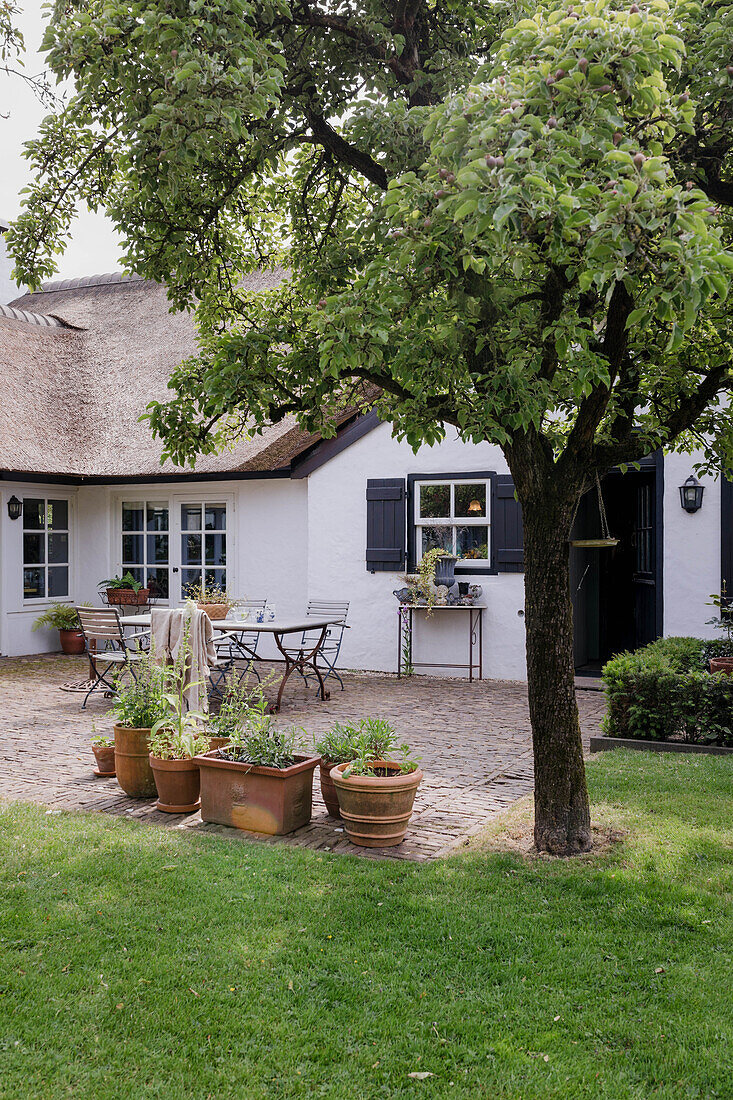 Paved courtyard with garden table and potted plants in front of thatched house