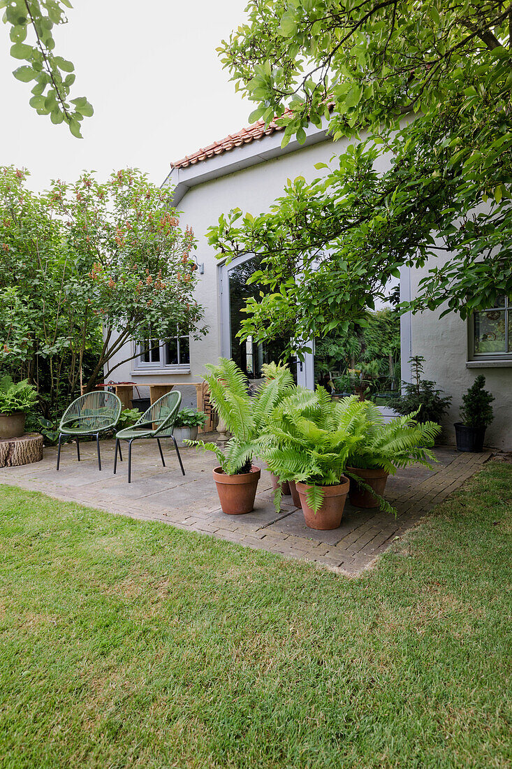 Gartenbereich mit grünen Gartenstühlen und Töpfen voller Farne auf gepflasterter Terrasse