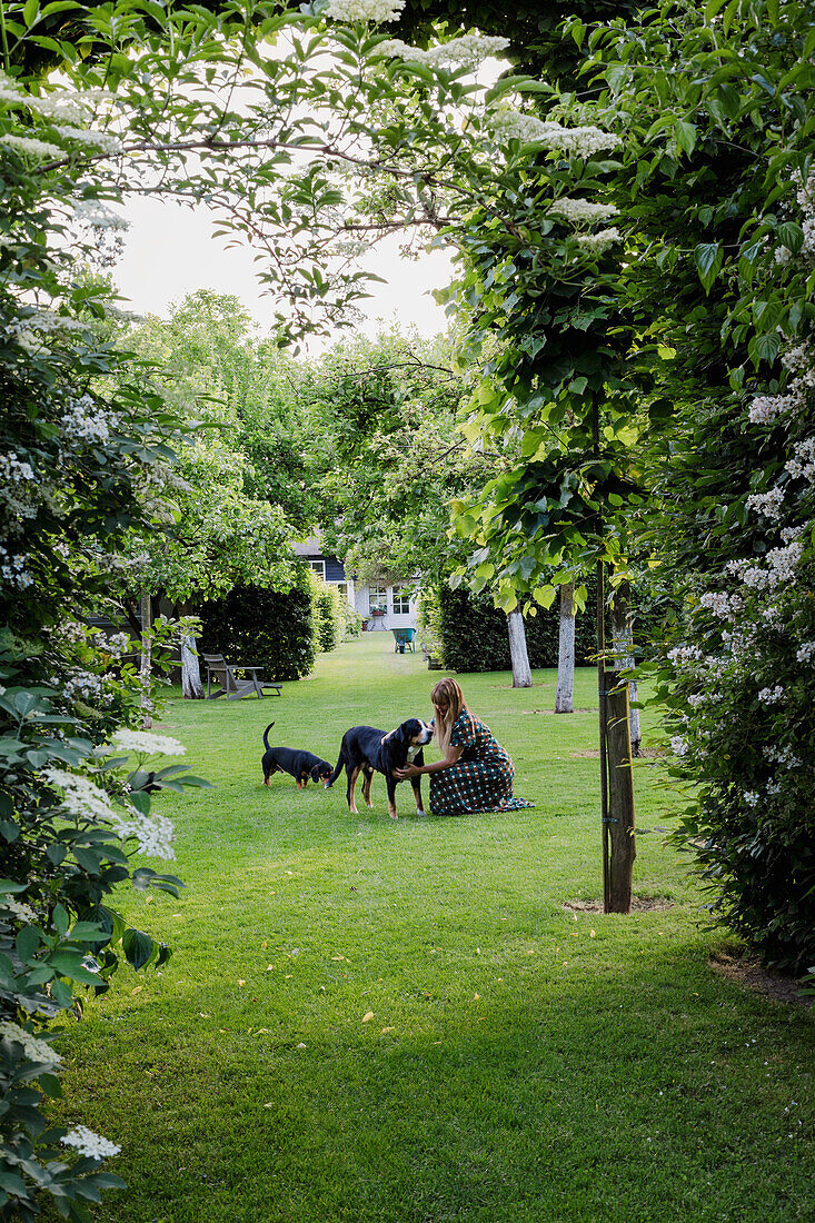 Frau spielt mit Hunden auf Rasen im großräumigen Garten