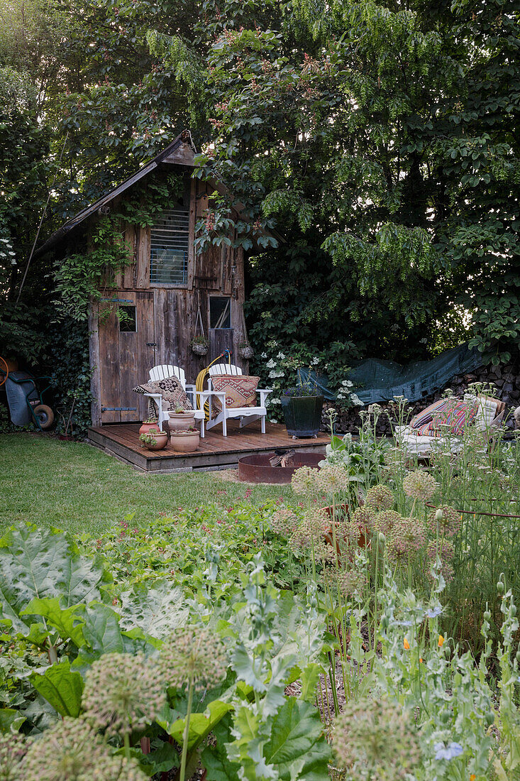 Cosy garden corner with wooden hut and armchair duo, surrounded by lush greenery