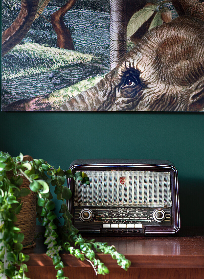 Vintage radio on wooden cabinet in front of green wall with elephant picture