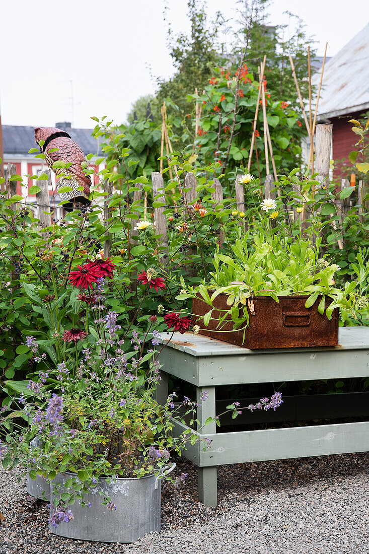 Gartenecke mit grünem Holztisch und verschiedenen Pflanzgefäßen