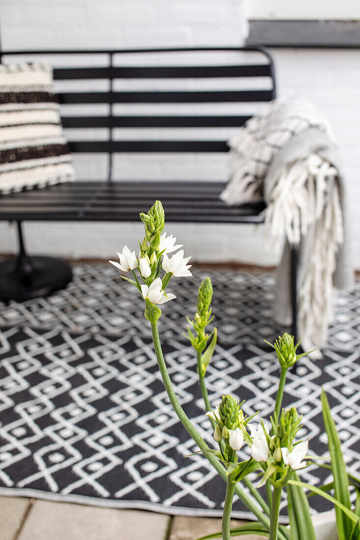 Schwarze Gartenbank auf gemustertem Teppich mit weißen Blumen im Vordergrund