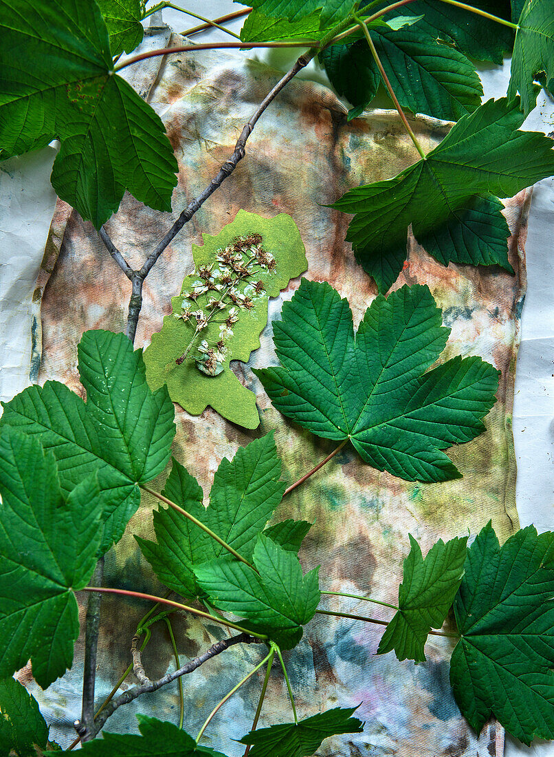 Green maple leaves and flowers on coloured fabric