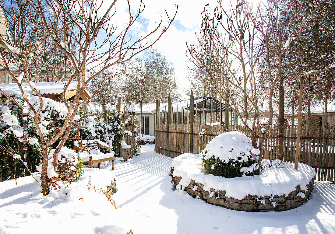 Snowy garden with bare trees and frozen shrubs in winter