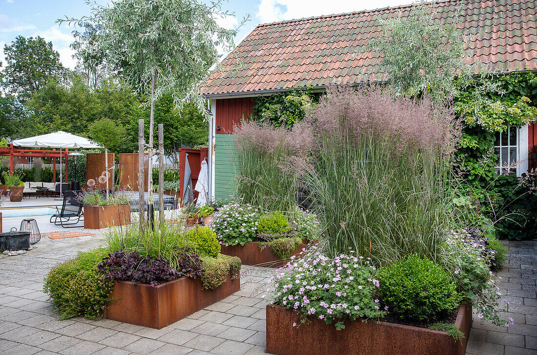 Garden area with raised beds and ornamental grasses