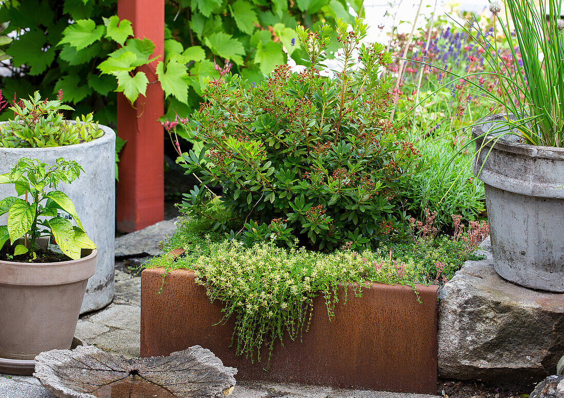 Garden corner with planted raised bed made of rust steel