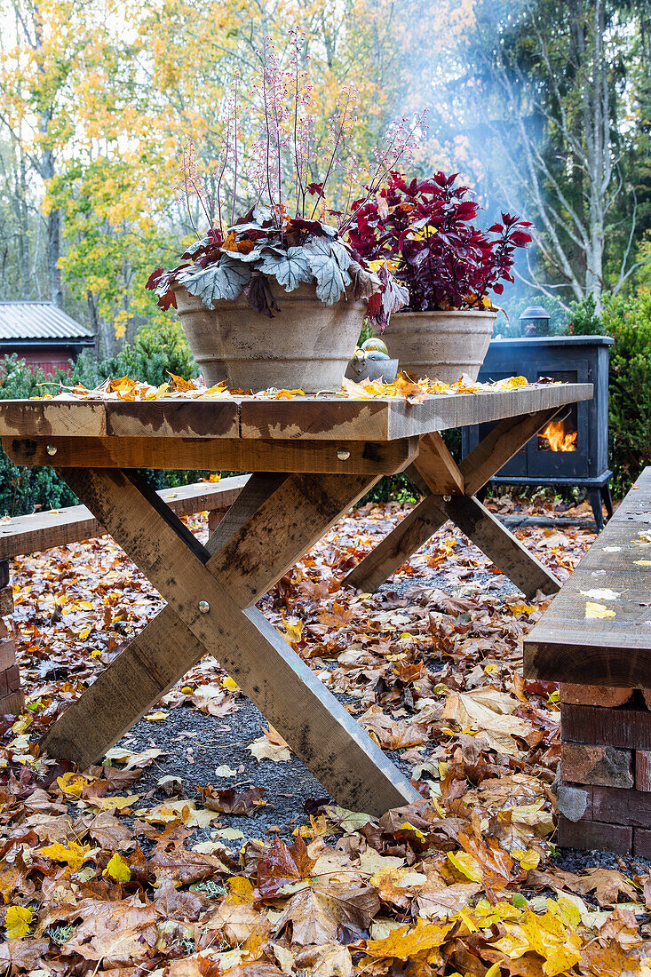 Rustic wooden table with autumn leaves and plant pots in the garden