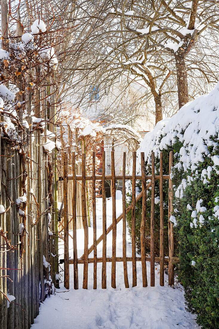 Winter garden path with wooden gate and snow-covered trees