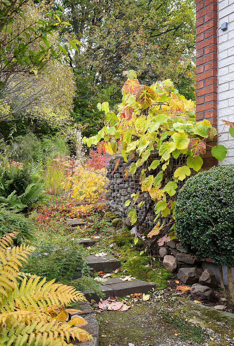 Steps through autumn garden