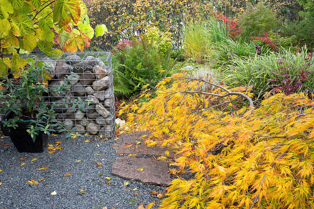 Pflanzen und Steine im herbstlichen Garten