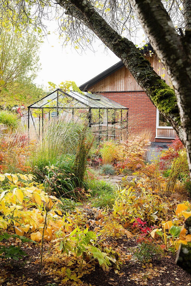 Autumn garden with modern greenhouse