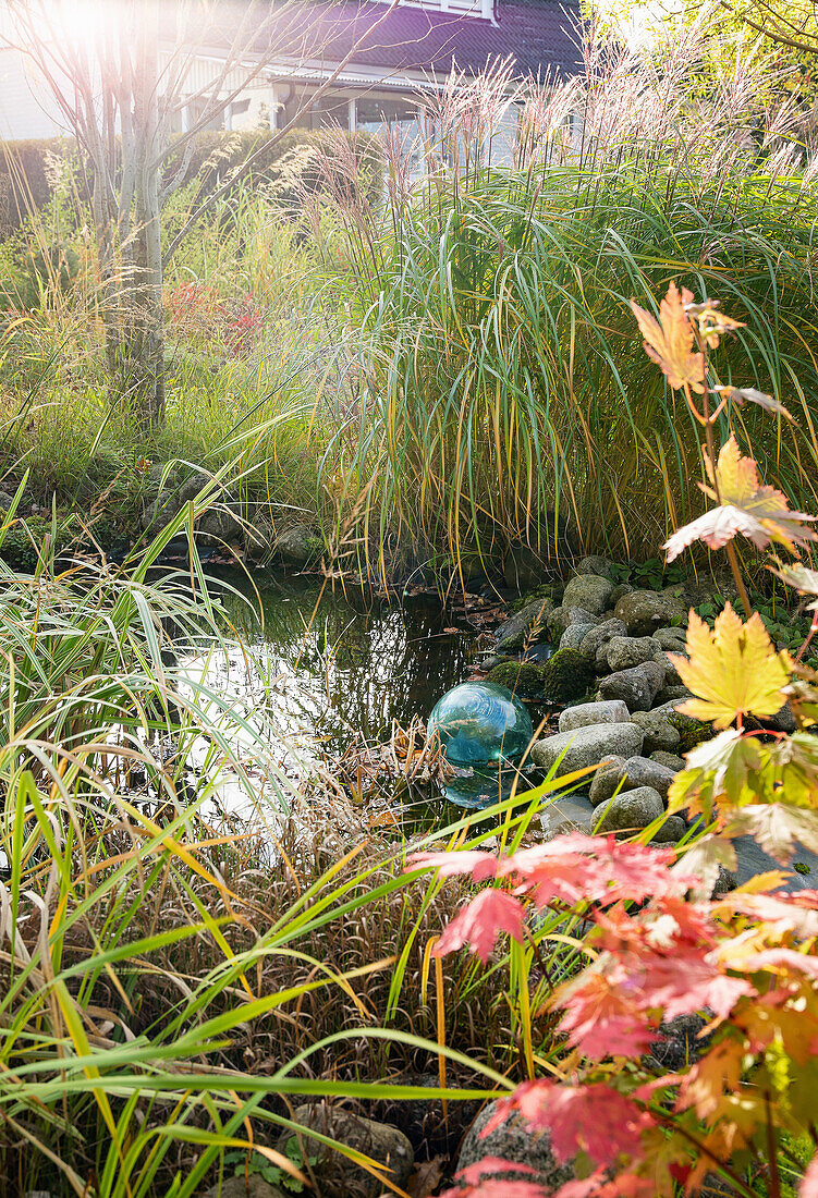 Kleiner Teich im herbstlichen Garten mit Ziergräsern und Ahornblättern