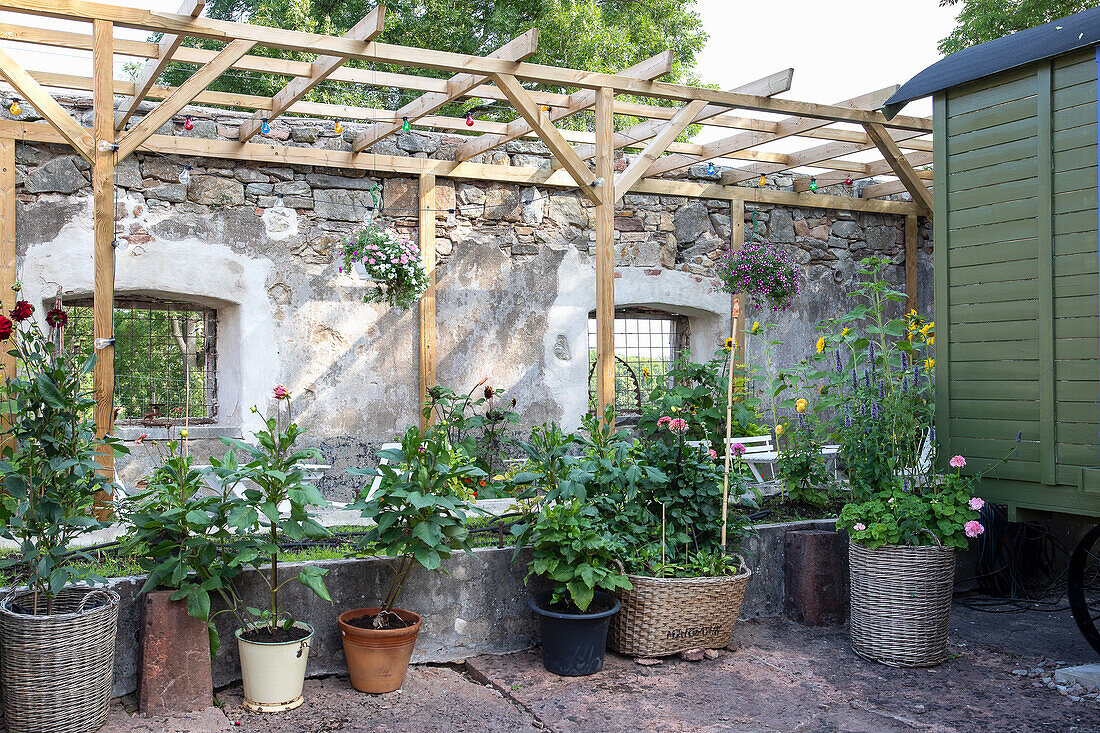 Flowers and plants in pots in front of a stone wall under a pergola