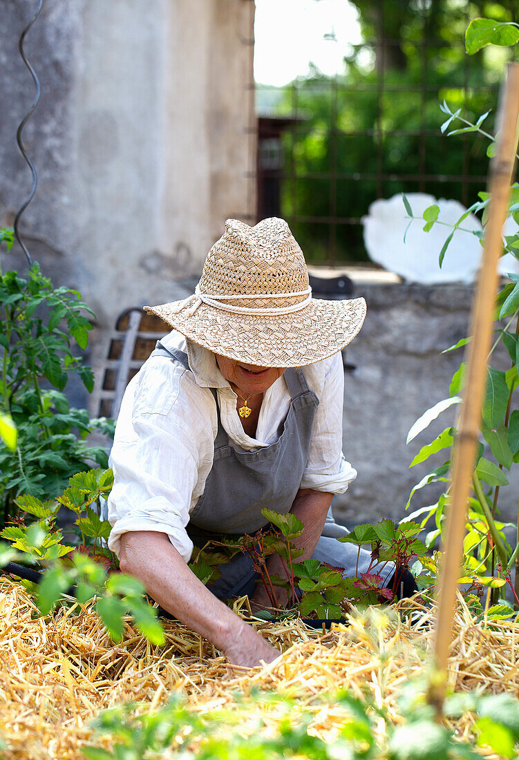 Gärtnerin bei der Arbeit in einem mit Stroh gemulchten Beet im Sommergarten