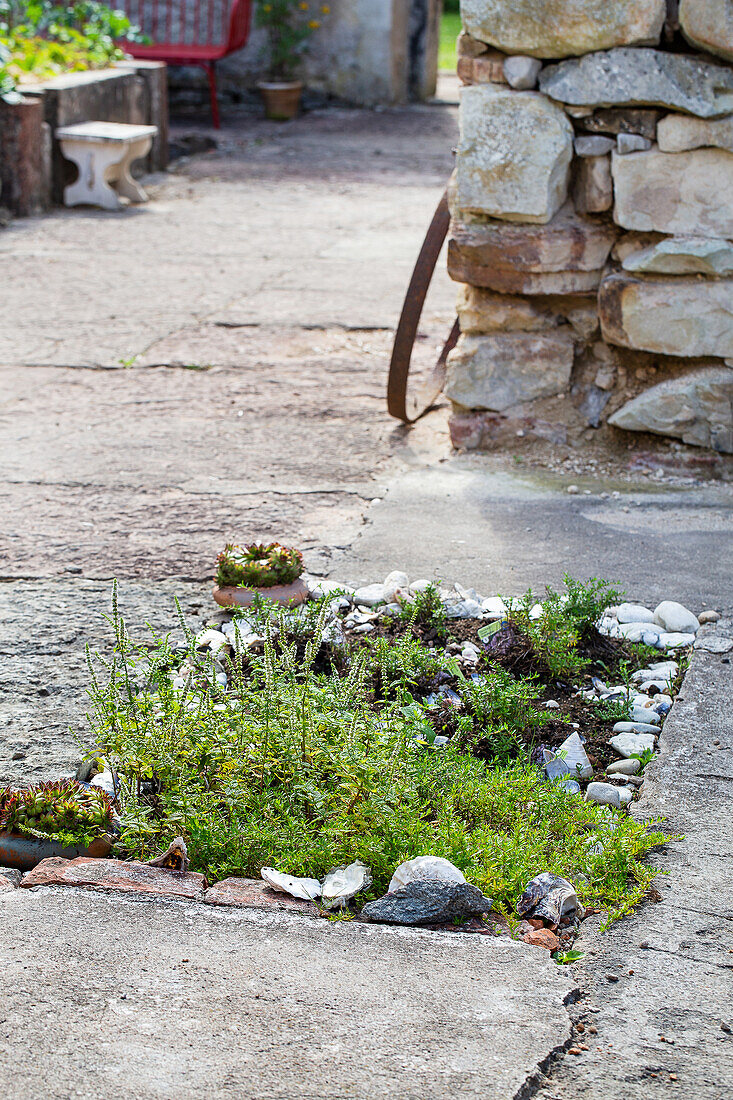 Small herb bed with stone border on the patio