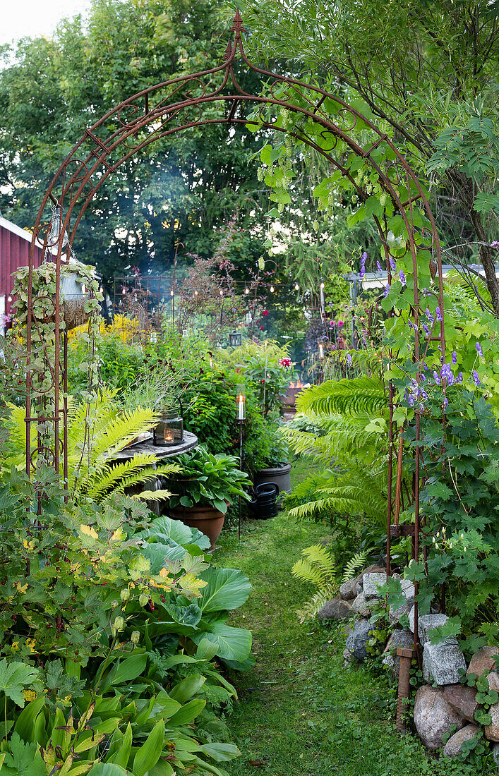 Metallbogen im Garten mit üppigem Pflanzenbewuchs