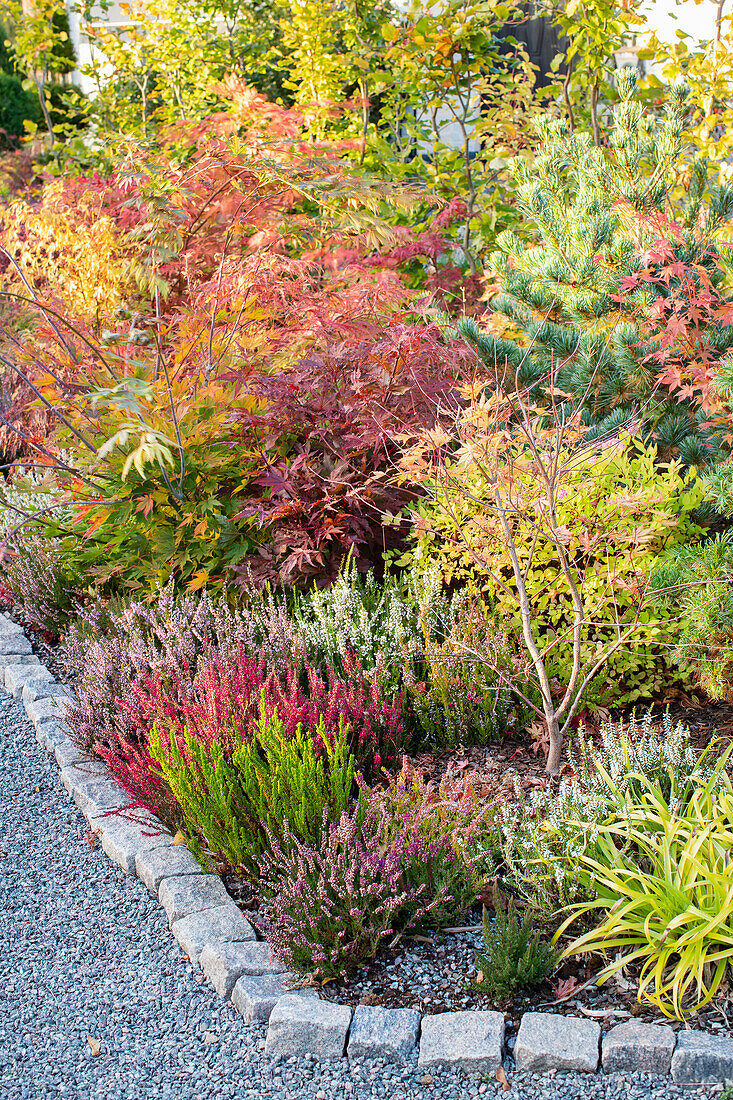 Front garden with lush planting in autumnal colours