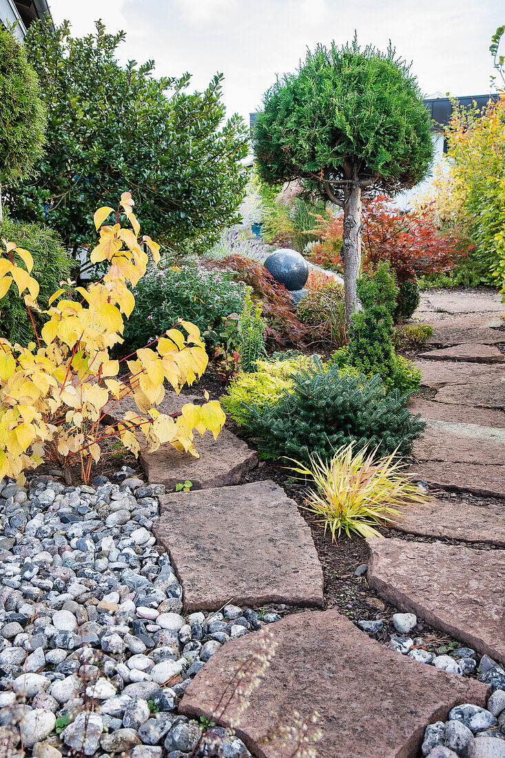 Stone path in the autumn garden with various shrubs