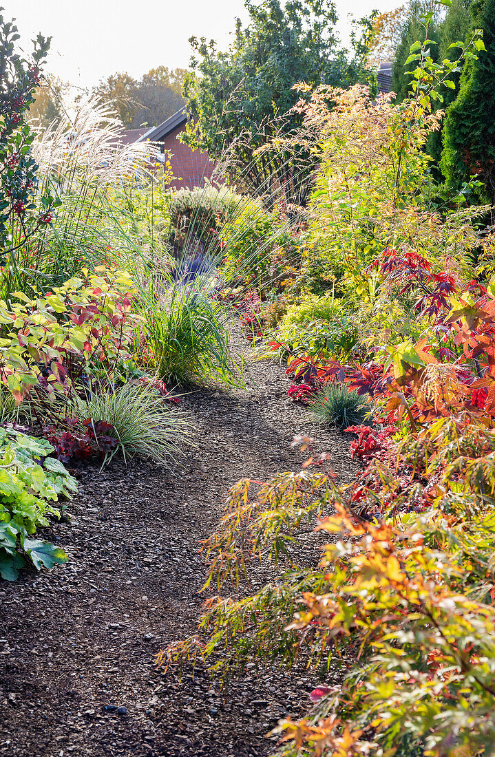 Idyllic garden path surrounded by autumn leaves and ornamental grasses