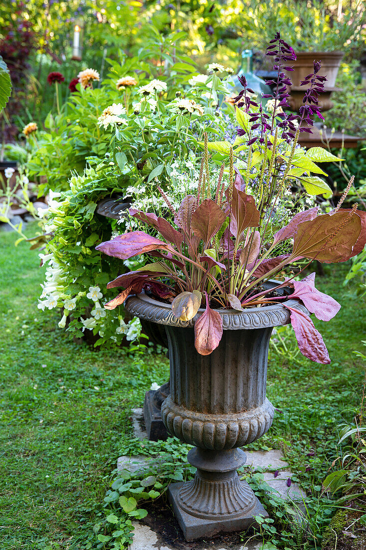 Garden pot with begonias and other perennials on a lawn