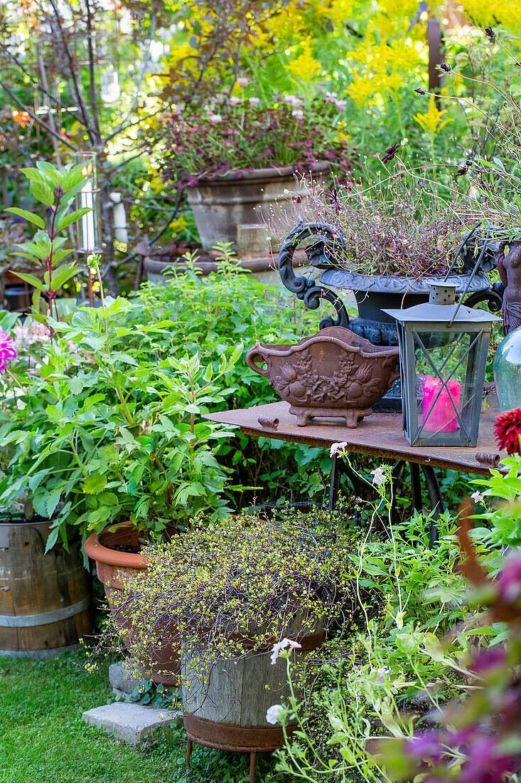 Lushly planted garden corner with lantern and antique planters