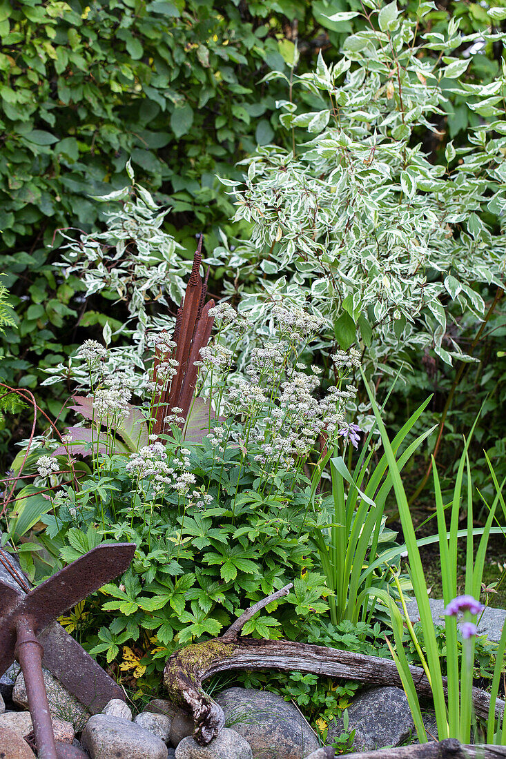 Lush, mixed garden planting with decorative objects