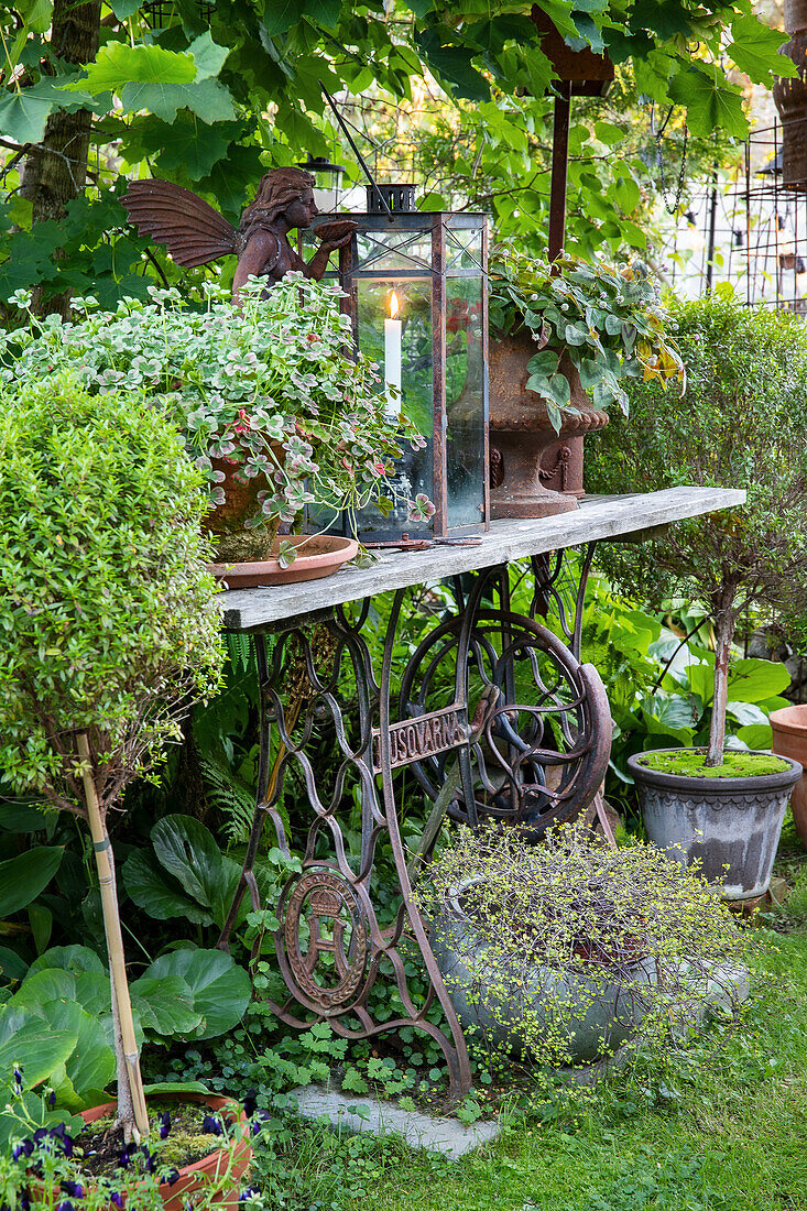 Decorative, old sewing machine table as a plant table in the garden