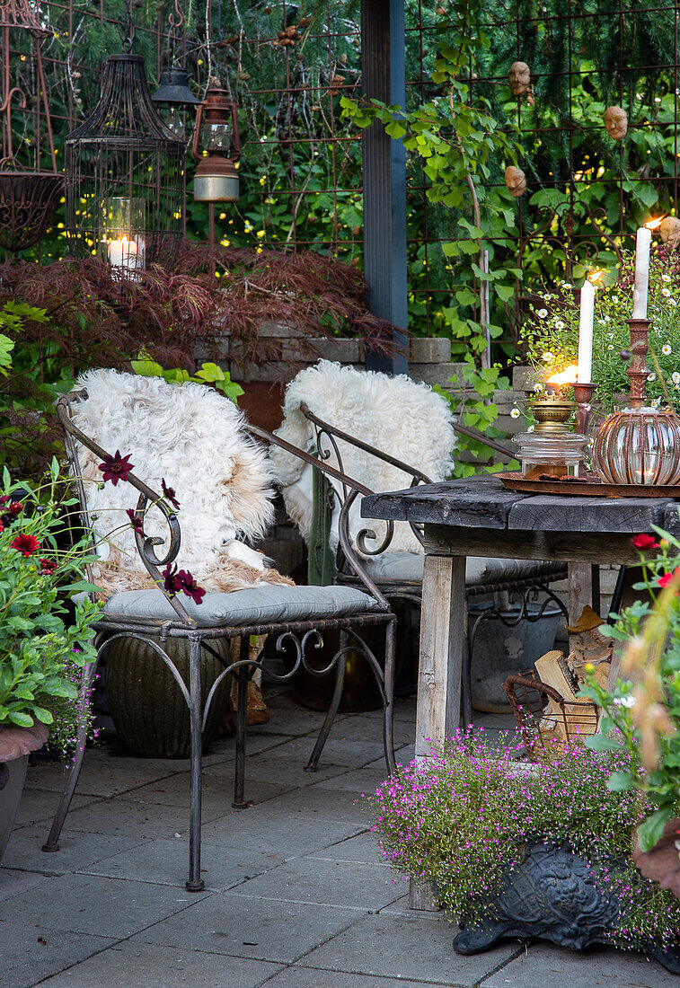 Gemütliche Terrasse mit Laternen, Kerzen und vielen Pflanzen