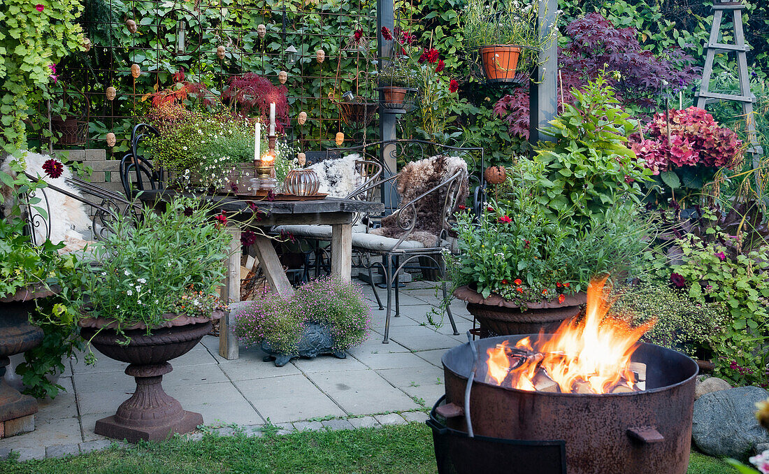 Cosy patio with a fireplace and lush plants in late summer