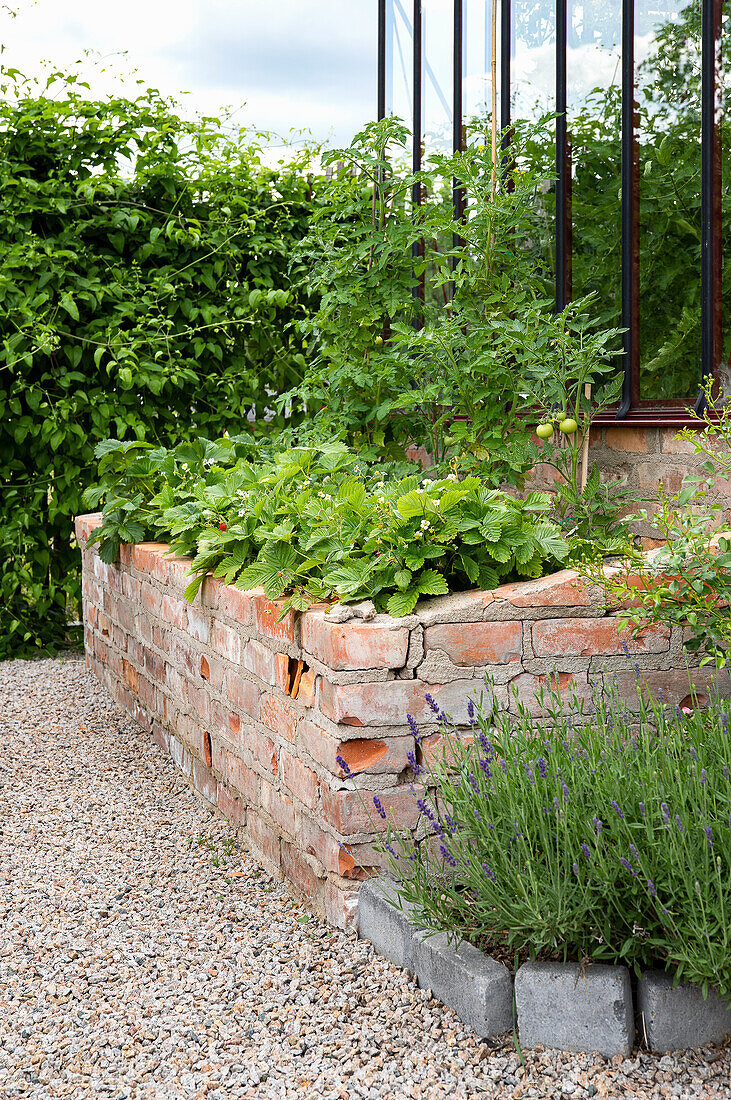 Hochbeet aus Backstein mit Erdbeerpflanzen und Gemüse im Garten