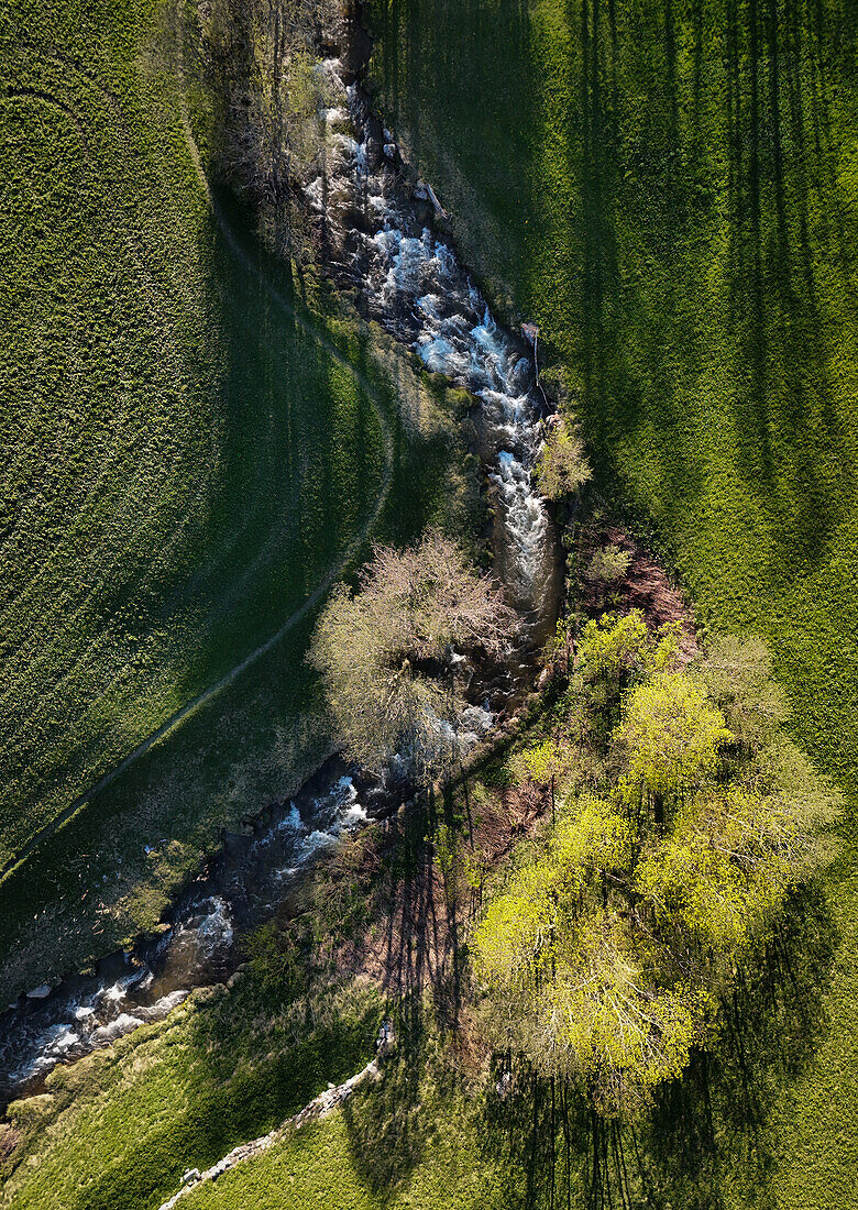 Luftaufnahme von Fluss der sich durch frischgrünen Wiesen schlängelt. Frühling im Valmüstair / Graubünden. Bäume zum Teil im Austrieb mit Schattenwurf