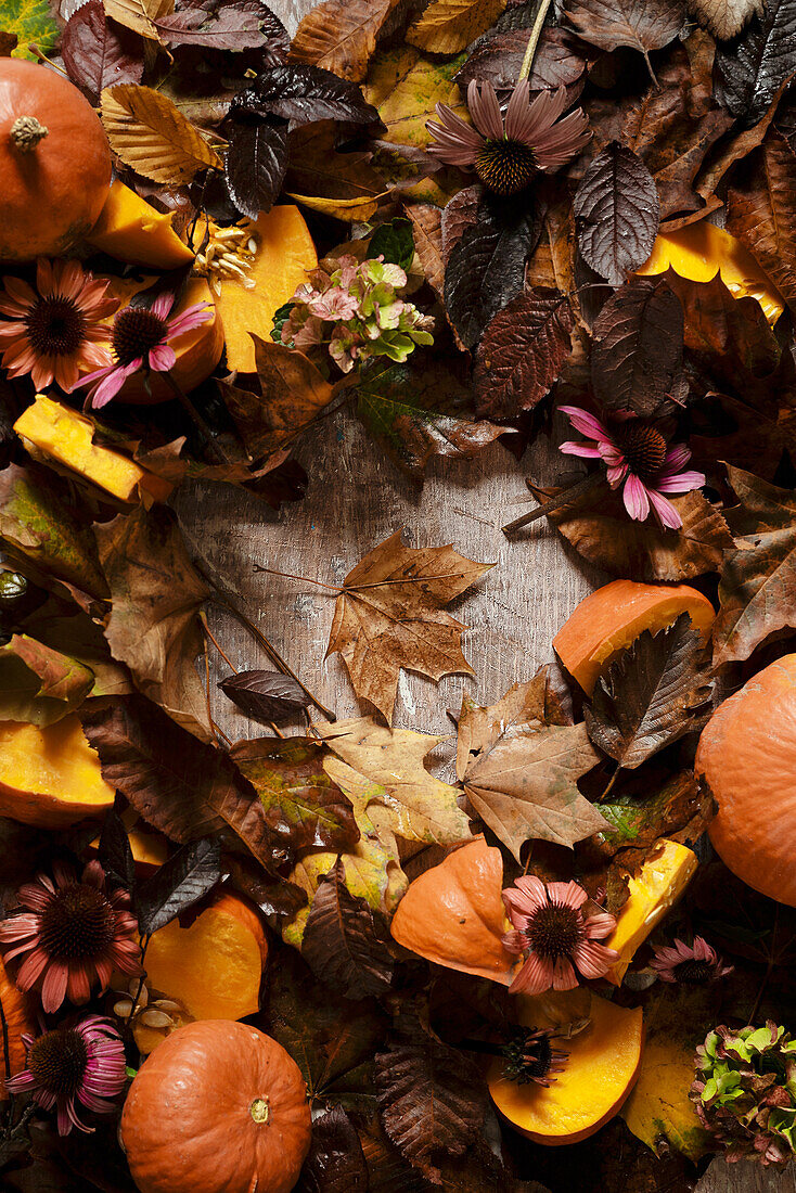 Herbstkranz aus Kürbisstücken, Blättern und Sonnenhut auf Holzuntergrund