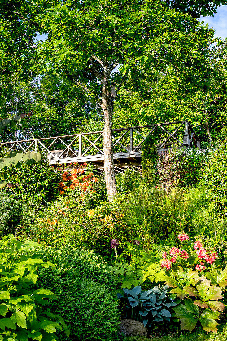 Lush garden with bridge and flowering plants in summer