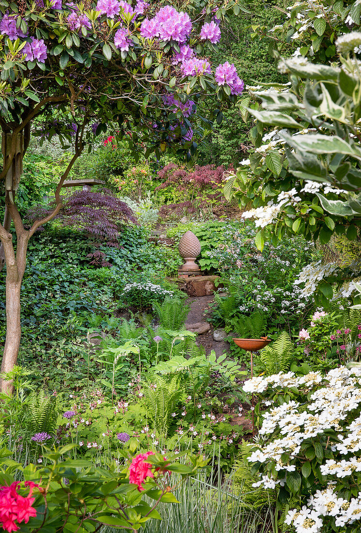 Üppiger Garten mit Rhododendron und Farnen im Sommer