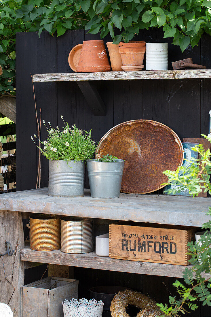 Planting table with clay pots and plants in zinc containers