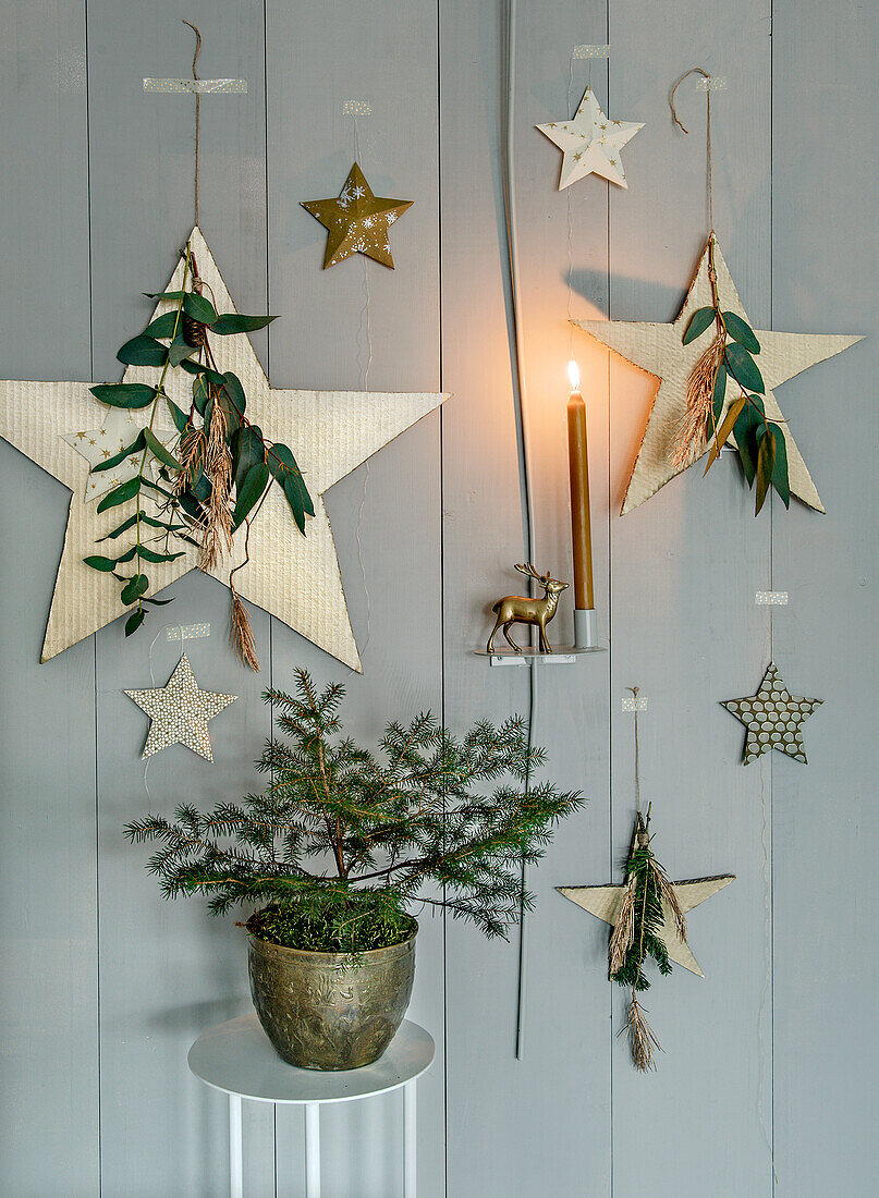 Christmas wall decoration with stars and small fir tree in a pot