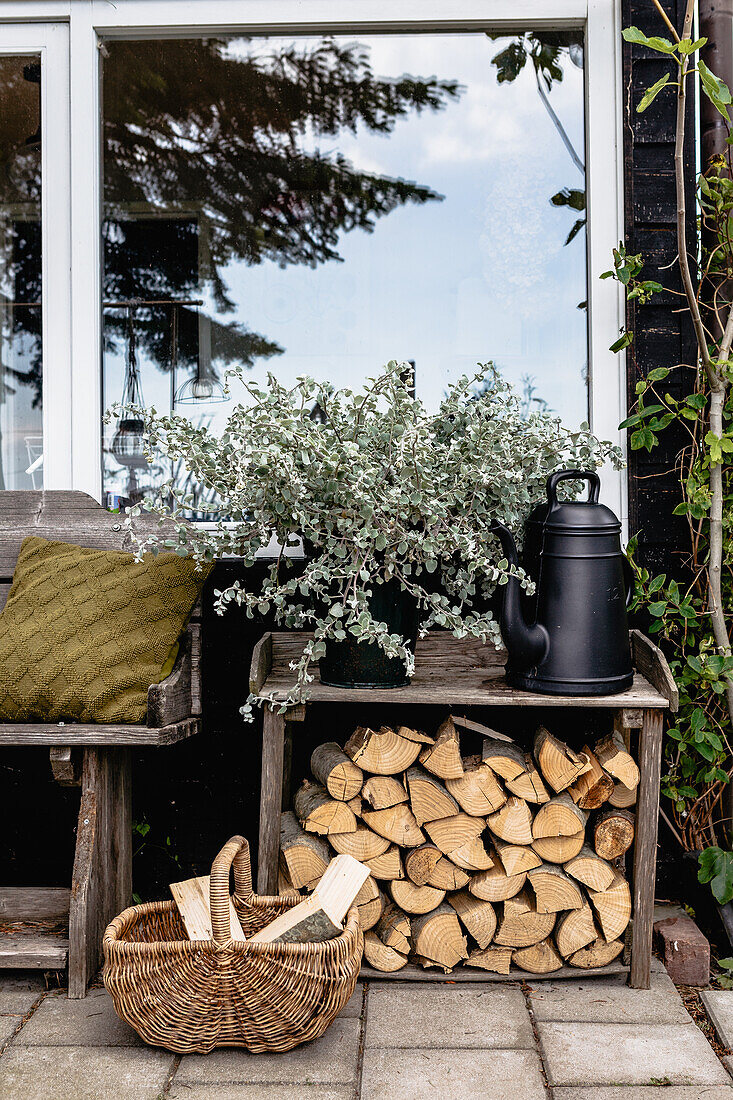 Brennholzstapel und Pflanze neben Holzbank auf Terrasse